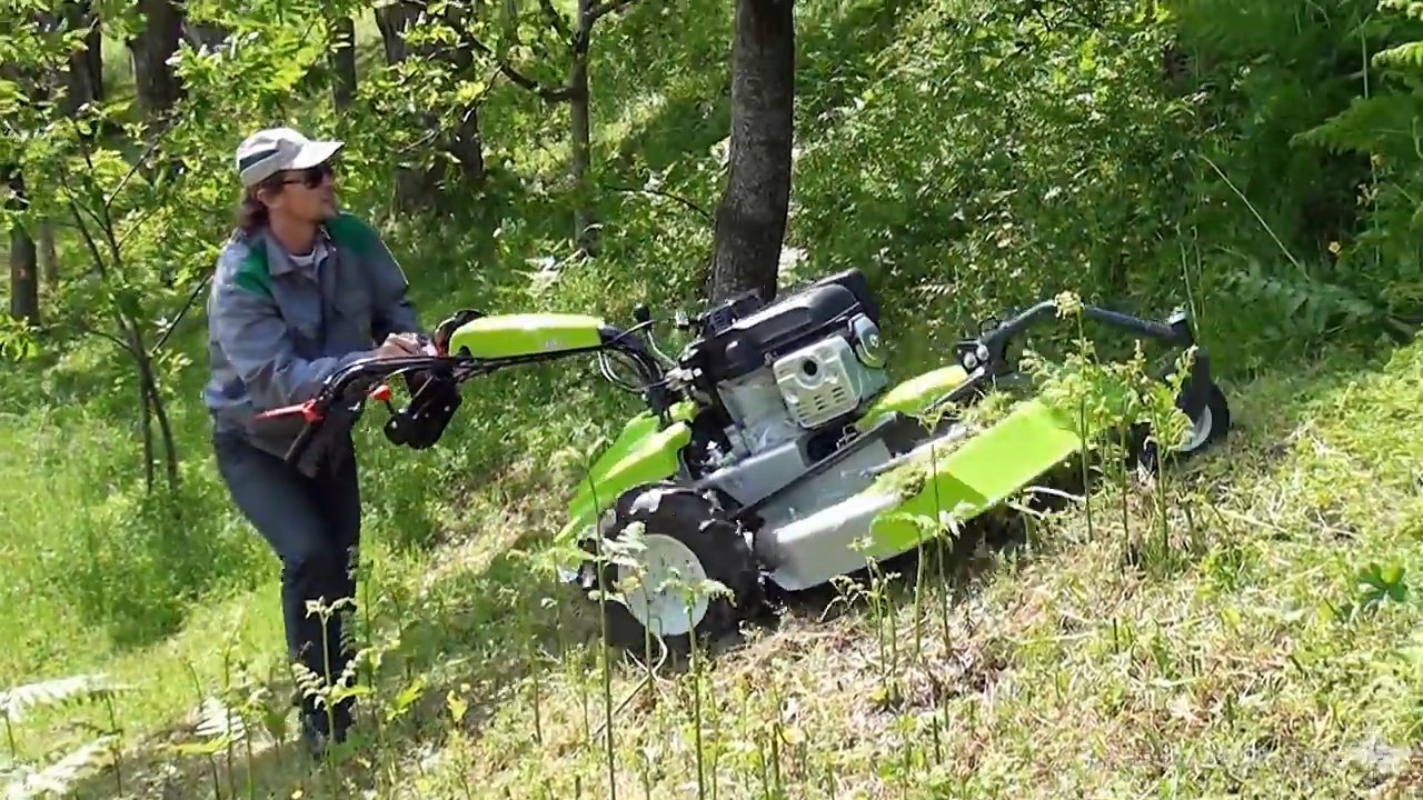 Machine pour la coupe de l'herbe CL 75
